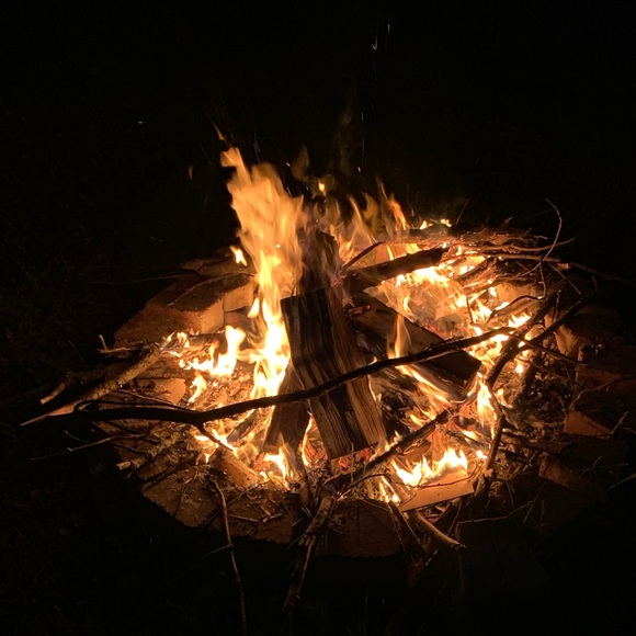 Meet your Posher, Riley - Picture 1 of 5